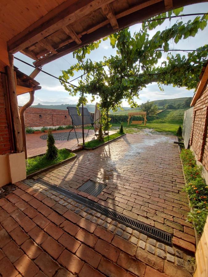 Casa Simion Vilă *