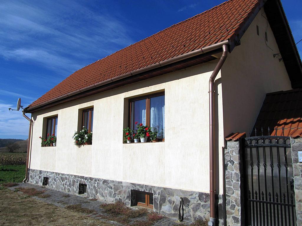 Vilă Casa Simion *